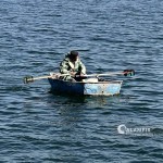 “Арнасой” сув омборида балиқ овлашга мораторий эълон қилинди