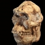 Olimlar 3,7 mln yoshli odamning yuzini qayta tikladi