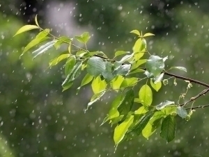 Rain expected in some areas tomorrow