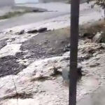 Andijonda ko‘cha va tomorqalarga suv toshdi (video)