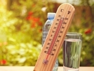 Forecasts of abnormal heat in Uzbekistan were announced