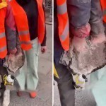 Germaniyada ikki ekofaol qo‘lini asfaltga yelimlab, norozilik bildirdi (video)