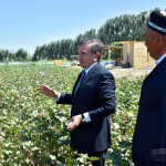 Klaster va kooperatsiya tizimida yangi mexanizmlar joriy etiladi – Prezident qarori