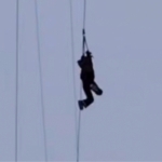 “Қамчиқ”да 16 ёшли қиз зиплайндан тушиб кетиши ортидан жиноят иши қўзғатилди