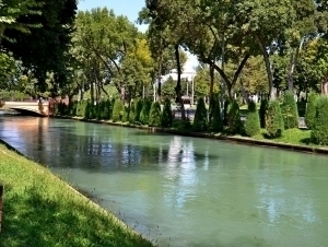 Ertaga ob-havo qanday bo‘ladi?