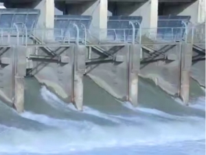 Самарқандда ўлдирилиб, каналга ташланган аёлнинг жасади 3 ойдан буён топилмаяпти