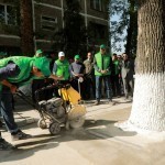 Toshkentda daraxtlarni betondan qutqarish bo‘yicha yangi aksiya boshlandi