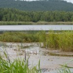 Rossiyadagi ikki ko‘lning suvi kislotaga aylandi