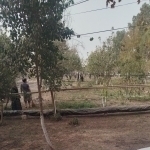 Doctors in Surkhandarya forced into labor ahead of governor’s visit