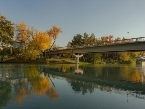 Hafta boshida qanday ob-havo bo‘lishi aytildi