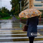 Эртага ёмғир ва чанг-тўзонлари кузатилади