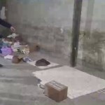 Farg‘onada sifati kafolatlanmagan dorilar sotayotganlar ushlandi