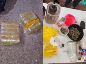 Toshkent, Farg‘ona va Andijonda 12,5 kg narkotik topildi