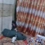 Father hiding behind a curtain to avoid paying alimony in Fergana (video)
