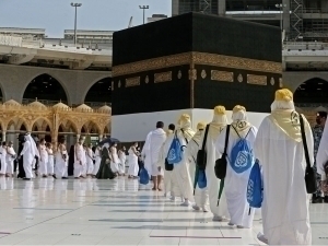 Licenses were issued to 12 companies for organizing the Umrah Pilgrimage