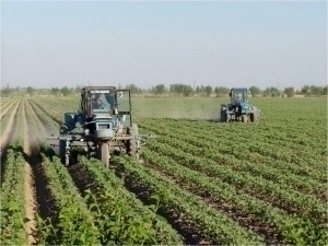 The European Union has earmarked 6 million euros for Uzbekistan's agricultural sector