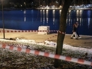 Moskvada ona 6 yashar bolasini bo‘laklab, ko‘lga uloqtirdi