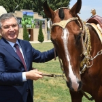 Qorabayir zotli otlarni yetishtirish va ko‘paytirish markazi tashkil etiladi