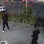 Samarqandda o‘nga yaqin odamni urib ketgan haydovchi qamaldi (video)