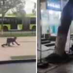 Voyaga yetgan kvadroberlar 15 sutkaga qamaladi