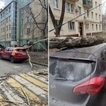 Москвада кучли шамол туфайли 2 киши ҳалок бўлди (видео)
