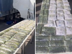 About 70 kilograms of narcotics are intercepted at the Surkhandarya border post (video)