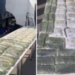 Сурхондарёдаги чегара постида салкам 70 кг наркотик моддалар ушланди (видео)