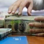 Dollarning rasmiy kursi yangilandi
