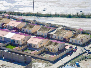 Эртага баъзи вилоятларда кучли шамол эсади