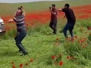 Қизғалдоқзорда кўнгилхушлик қилганлар жаримага тортилди (видео)