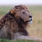 Internetda yangiliklar boshlovchisiga jonab ketdi.