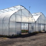 Ўзбекистонда ихтиёрий равишда кўмирда ишлайдиган иссиқхоналар давлат томонидан рағбатлантирилади