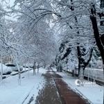 Tashkent city administration issues warning following heavy snowfall (video)