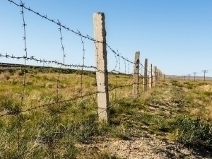 Uzbek citizen detained for attempting to illegally cross Kazakh-Russian border