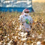 President’s Administration reacted to the lifting of the cotton boycott, which lasted 12 years