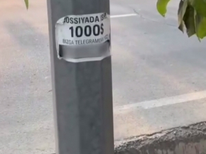 ИИББ Тошкент йўлларидаги эълонлардан огоҳлантирди (видео)