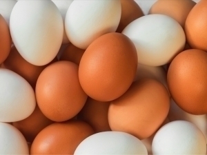 Қозоғистонга тухум олиб кириш 6 ойга тақиқланди