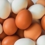 Қозоғистонга тухум олиб кириш 6 ойга тақиқланди