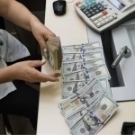 Долларнинг расмий курси янгиланди