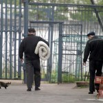 Jazoni o‘tab chiqqanlarni ish bilan ta’minlaganlarga subsidiya beriladi