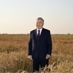 Mirziyoyev inspected a rice cultivation site