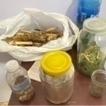 Man arrested for keeping 1.5 kg of “poppy seeds” in bedroom in Chinoz