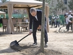 Шавкат Мирзиёев “Яшил макон” доирасида кўчат экди