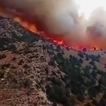 Is the fire in the Surkhan Reserve still not extinguished? (video)