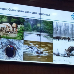 “Ўзатом” баҳсли суратга изоҳ берди