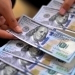 Dollarning rasmiy kursida o‘zgarish kuzatildi