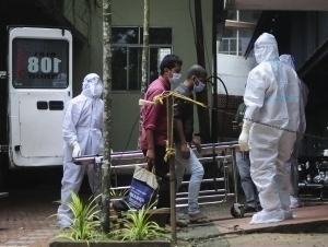 Нипаҳ вирусидан иккинчи ўлим ҳам қайд этилди 