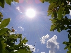 Эртага об-ҳаво бироз булутли ва иссиқ бўлади