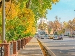 Tomorrow’s weather forecast announced