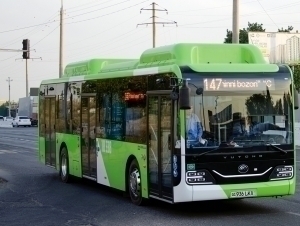 Toshkentda yo‘l haqini to‘lamagan 30 mingdan ortiq shaxs jazolandi